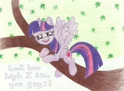 Size: 6810x4973 | Tagged: safe, artist:mrplumbus, twilight sparkle, alicorn, pony, g4, absurd resolution, colored pencil drawing, drugs, female, high, marijuana, solo, traditional art, tree, twilight sparkle (alicorn)