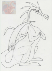 Size: 1702x2339 | Tagged: safe, artist:lazy-turtle, basil, dragon, g4, anatomy, drawing, male, sketch, sketch dump, solo, study, traditional art