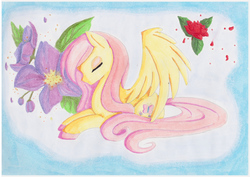 Size: 2560x1811 | Tagged: safe, artist:shingery, fluttershy, g4, colored hooves, eyes closed, female, flower, prone, solo, spread wings, traditional art