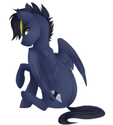 Size: 900x1000 | Tagged: safe, artist:silentwulv, oc, oc only, pegasus, pony, looking back, solo
