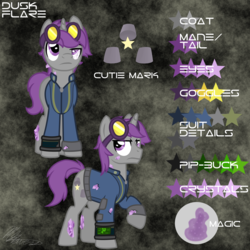 Size: 2000x2000 | Tagged: safe, artist:hoodwinkedtales, oc, oc only, oc:dusk flare, fallout equestria, fallout equestria: relics of the past, goggles, high res, reference sheet, solo