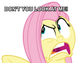 Size: 886x731 | Tagged: safe, fluttershy, buckball season, g4, angry, caption, female, image macro, solo, text