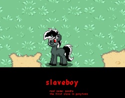 Size: 695x542 | Tagged: safe, oc, oc only, oc:zandra, pony, pony town, paint.net, slave, solo