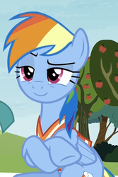 Size: 416x623 | Tagged: safe, screencap, rainbow dash, pony, buckball season, g4, crossed hooves, female, mare, raised eyebrow, solo