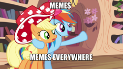 Size: 800x450 | Tagged: safe, applejack, rainbow dash, g4, everywhere meme pony edition, meme, party stetson, x x everywhere