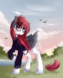 Size: 1024x1259 | Tagged: safe, artist:ten-dril, oc, oc only, pegasus, pony, clothes, solo, sweater