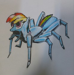 Size: 2231x2241 | Tagged: artist needed, safe, rainbow dash, spider, g4, female, high res, solo, species swap, traditional art