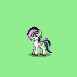 Size: 398x399 | Tagged: safe, oc, oc only, oc:sky kerfuffle, hybrid, pony, pony town, blank flank, interspecies offspring, offspring, parent:discord, parent:princess celestia, parents:dislestia, ponified, solo, tongue out