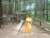 Size: 3648x2736 | Tagged: safe, artist:harvydraws, applejack, g4, bridge, forest, grin, high res, hiking, irl, looking at you, photo, ponies in real life, raised hoof, smiling, solo, trail