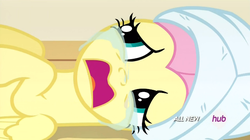 Size: 642x360 | Tagged: safe, screencap, fluttershy, pegasus, pony, filli vanilli, g4, crying, cute, female, mare, open mouth, sad, shyabetes