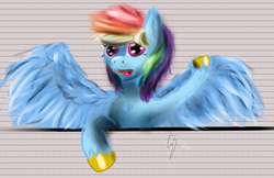 Size: 1024x664 | Tagged: safe, artist:hippik, rainbow dash, pony, g4, female, solo