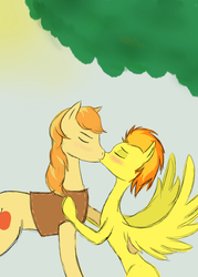 Size: 2500x3500 | Tagged: safe, artist:drizzle84, braeburn, spitfire, earth pony, pegasus, pony, g4, duo, female, high res, kiss on the lips, kissing, male, mare, shipping, spitburn, stallion, straight, wings