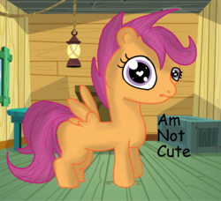 Size: 1047x956 | Tagged: safe, artist:jonathan the awesome, derpibooru exclusive, scootaloo, pegasus, pony, g4, blatant lies, clubhouse, comic sans, crusaders clubhouse, cute, cutealoo, denial's not just a river in egypt, female, filly, heart eyes, i'm not cute, looking at you, solo, truth, wingding eyes