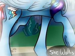 Size: 1398x1059 | Tagged: safe, artist:ponyvilleartist, rainbow dash, g4, female, head out of frame, solo, underhoof, walking