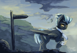 Size: 1567x1080 | Tagged: safe, artist:tangomangoes, thunderlane, pegasus, pony, g4, clothes, male, scarf, sign, solo focus, stallion