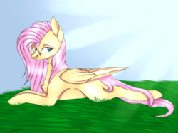 Size: 1024x765 | Tagged: safe, artist:standingberry, fluttershy, pony, g4, female, solo