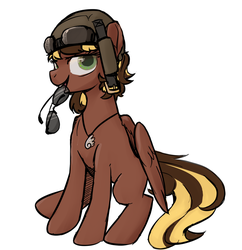 Size: 1280x1325 | Tagged: safe, artist:inlucidreverie, oc, oc only, pegasus, pony, roan rpg, aviator sunglasses, helmet, jewelry, looking at you, necklace, sunglasses