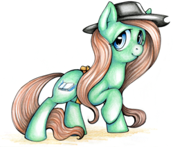 Size: 2822x2407 | Tagged: safe, artist:pingwinowa, oc, oc only, oc:harmony, pony, hat, high res, solo