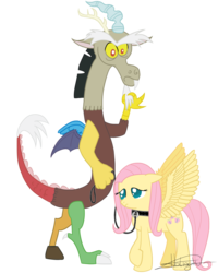 Size: 1417x1772 | Tagged: safe, artist:aurumluxetal, discord, fluttershy, g4, collar, flutterpet, leash, pet