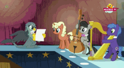 Size: 852x471 | Tagged: safe, screencap, cantora, gabby, golden tones, octavia melody, parish nandermane, earth pony, griffon, pony, unicorn, g4, the fault in our cutie marks, animated, background pony, cartoon physics, cello, clarinet, female, gif, group, hammerspace, harp, male, mare, minimini, musical instrument, ponytail, quartet, stallion