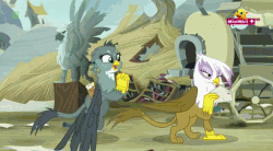 Size: 852x471 | Tagged: safe, screencap, gabby, gilda, griffon, g4, the fault in our cutie marks, animated, cute, female, gabbybetes, gif, griffonstone, minimini, ponytail