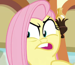 Size: 614x534 | Tagged: safe, screencap, fluttershy, pony, buckball season, g4, faic, female, mare, solo