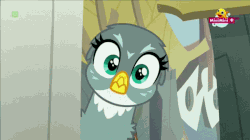Size: 850x476 | Tagged: safe, screencap, gabby, griffon, g4, season 6, the fault in our cutie marks, animated, cute, female, gabbybetes, griffonstone, hnnng, minimini, solo, weapons-grade cute