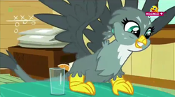 Size: 1280x713 | Tagged: safe, screencap, gabby, griffon, g4, the fault in our cutie marks, female, glass, minimini, ponytail, solo