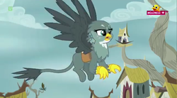 Size: 1280x708 | Tagged: safe, screencap, gabby, griffon, g4, the fault in our cutie marks, female, minimini, solo