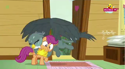 Size: 1282x714 | Tagged: safe, screencap, gabby, scootaloo, griffon, g4, the fault in our cutie marks, hug, minimini, squishy cheeks
