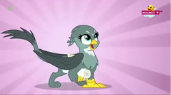 Size: 1282x711 | Tagged: safe, screencap, gabby, griffon, g4, the fault in our cutie marks, cute, female, gabbybetes, minimini, solo