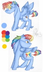 Size: 934x1577 | Tagged: safe, artist:sweetheart-arts, oc, oc only, pegasus, pony, reference sheet, tail feathers