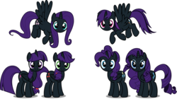 Size: 5367x3000 | Tagged: safe, edit, applejack, fluttershy, pinkie pie, rainbow dash, rarity, twilight sparkle, oc, oc:nyx, alicorn, pony, g4, alicorn oc, alicornified, mane six, race swap, recolor, twilight sparkle (alicorn)