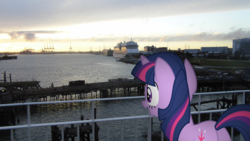 Size: 1920x1080 | Tagged: safe, artist:harvydraws, twilight sparkle, g4, cruise ship, ferry, irl, photo, ponies in real life, ship, solo
