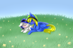 Size: 4468x2931 | Tagged: safe, artist:scarlet-spectrum, oc, oc only, absurd resolution, commission, cute, duo, eyes closed, grass field, jewelry, kissing, male, necklace, peace symbol, pendant, prone, straight