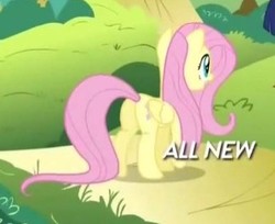 Size: 334x272 | Tagged: safe, screencap, fluttershy, pony, g4, maud pie (episode), all new, butt, cropped, female, flutterbutt, mare, plot, text
