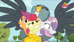 Size: 1360x768 | Tagged: safe, screencap, apple bloom, gabby, scootaloo, sweetie belle, earth pony, griffon, pony, g4, the fault in our cutie marks, :t, bear hug, cutie mark crusaders, eyes closed, floppy ears, frown, griffon teeth, grin, gritted teeth, hape, hug, minimini, nose wrinkle, smiling, wide eyes
