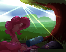 Size: 2500x2000 | Tagged: safe, artist:madacon, pinkie pie, earth pony, pony, g4, atg 2016, blanket, cloud, crepuscular rays, female, high res, mare, newbie artist training grounds, party cannon, rear view, rock, shade, sitting, sky, solo, sun, tree, wrench