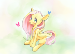 Size: 1400x1000 | Tagged: safe, artist:unousaya, fluttershy, butterfly, g4, blushing, colored sketch, cute, female, looking at you, shyabetes, sitting, solo