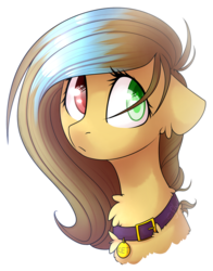 Size: 1024x1309 | Tagged: safe, artist:starlyfly, oc, oc only, pony, bust, collar, dog collar, female, heterochromia, mare, pet tag, portrait, simple background, solo, transparent background