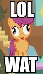 Size: 190x320 | Tagged: safe, edit, edited screencap, screencap, scootaloo, pegasus, pony, g4, derp, female, filly, folded wings, image macro, lol, meme, open mouth, reaction image, scootaderp, smiling, solo, stairs, wat