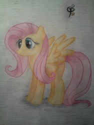 Size: 576x768 | Tagged: safe, artist:ponystarpony, fluttershy, pony, g4, female, looking at something, solo, spread wings, traditional art