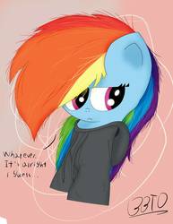 Size: 1032x1336 | Tagged: safe, artist:bronybehindthedoor, rainbow dash, pony, g4, clothes, female, hoodie, solo