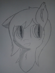 Size: 1536x2066 | Tagged: safe, oc, oc only, oc:silver edge, bat pony, pony, chest fluff, commission, cute, drawing, ear fluff, monochrome, solo, traditional art