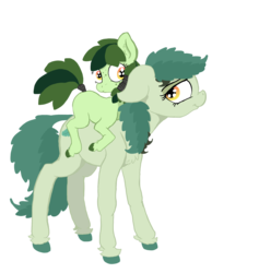 Size: 1750x1846 | Tagged: safe, artist:paskanaakka, derpibooru exclusive, oc, oc only, oc:bittergreen, oc:sweetleaf, blank flank, chest fluff, colored hooves, duo, ear fluff, female, filly, floppy ears, freckles, lidded eyes, looking back, ponies riding ponies, riding, simple background, sisters, sweetleaf riding bittergreen, tail wrap, transparent background, unshorn fetlocks