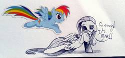 Size: 1164x544 | Tagged: safe, artist:pinkamenacheshirepie, fluttershy, rainbow dash, g4, dialogue, duo, holding, sticker, traditional art