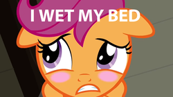 Size: 1152x646 | Tagged: safe, scootaloo, pony, g4, blushing, embarrassed, female, floppy ears, solo