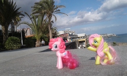 Size: 2560x1536 | Tagged: safe, artist:dutchbronyfan, fluttershy, pinkie pie, g4, canary islands, cloud, irl, las palmas, ocean, palm tree, photo, ponies in real life, spain, toy, tree