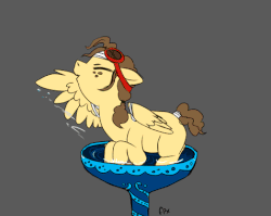 Size: 476x378 | Tagged: safe, artist:php154, oc, oc only, oc:bananaphone, pegasus, pony, :p, animated, behaving like a bird, bird bath, cute, eyes closed, floppy ears, freckles, gif, goggles, gray background, grin, ocbetes, partially open wings, prancing, silly, silly pony, simple background, smiling, solo, spread wings, tail wrap, tongue out, wings