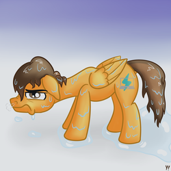 Size: 3000x3000 | Tagged: safe, artist:yakoshi, oc, oc only, oc:compylight, pegasus, pony, floppy ears, gradient background, high res, male, snorting, solo, stallion, unamused, wet